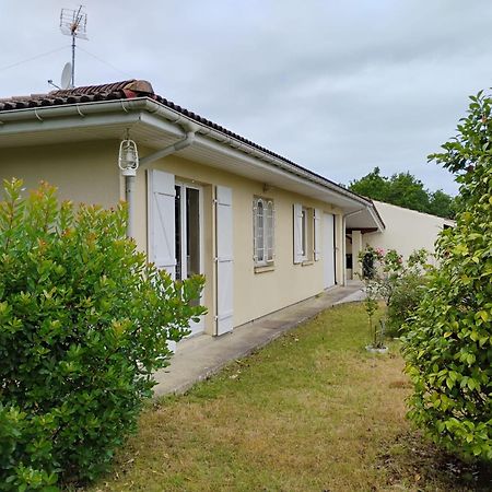 Villa Maite, Quartier Calme, Piscine Chauffee Andernos-les-Bains Exterior foto